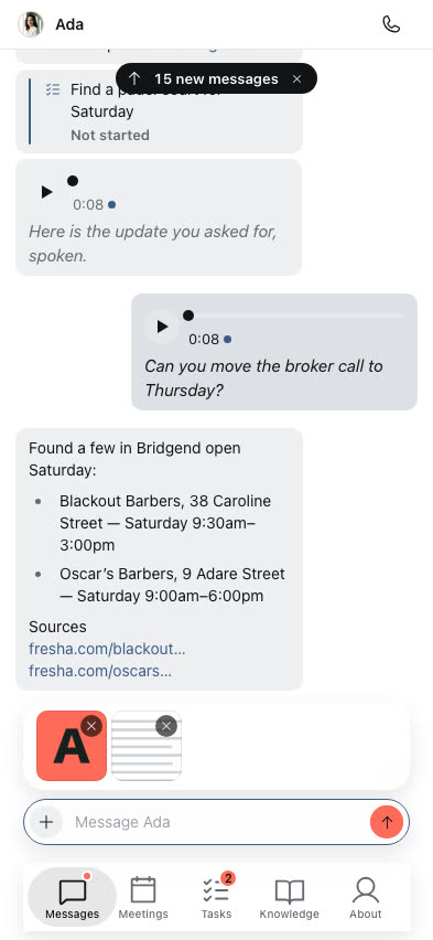 A pasted screenshot attached in the message box, ready to send